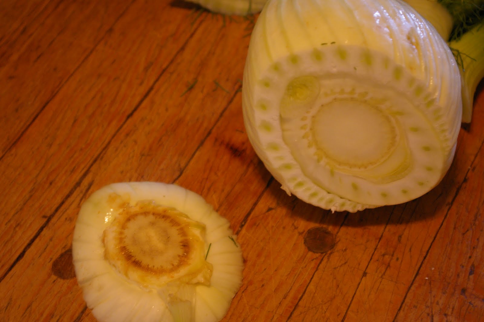 The Worthy Cook Braised Fennel with White Wine & Cream