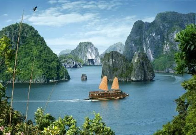 halong tour, halong tours booking, halong tour package