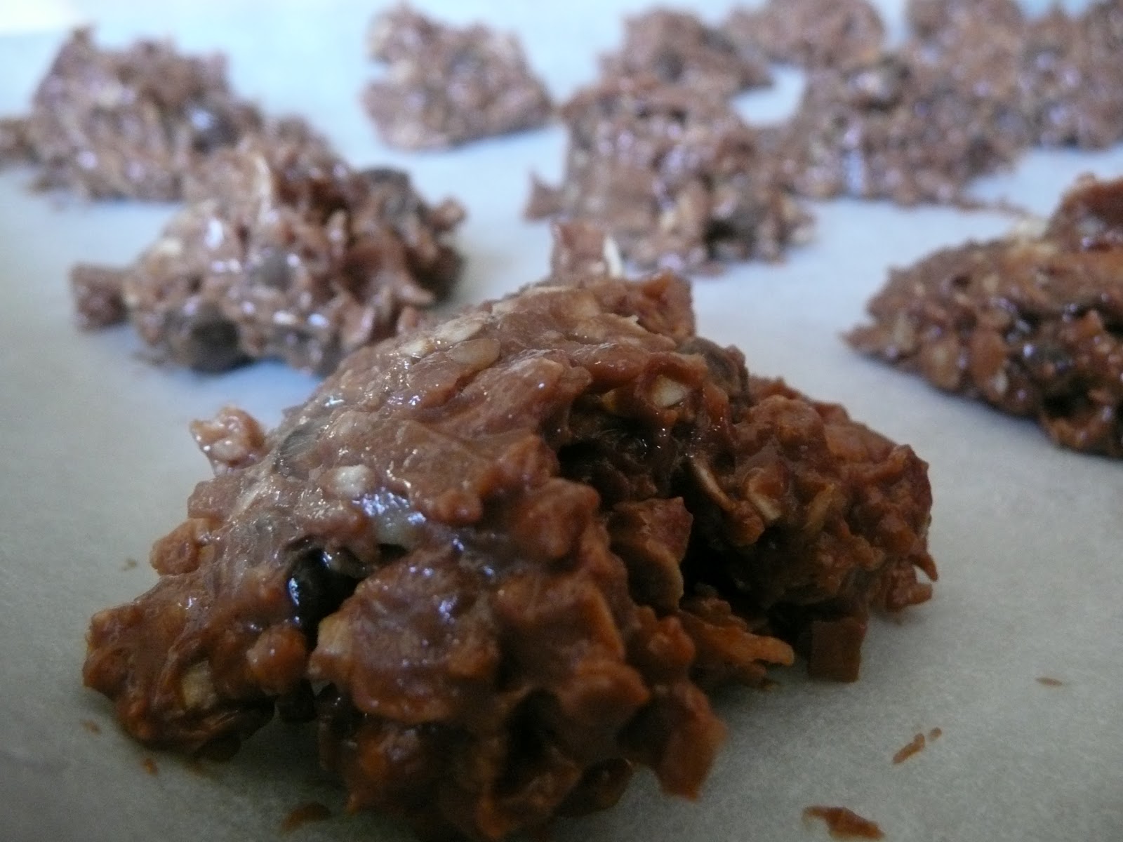 Bodyclay Sculpting Healthy Cocoanut NoBake Cookies