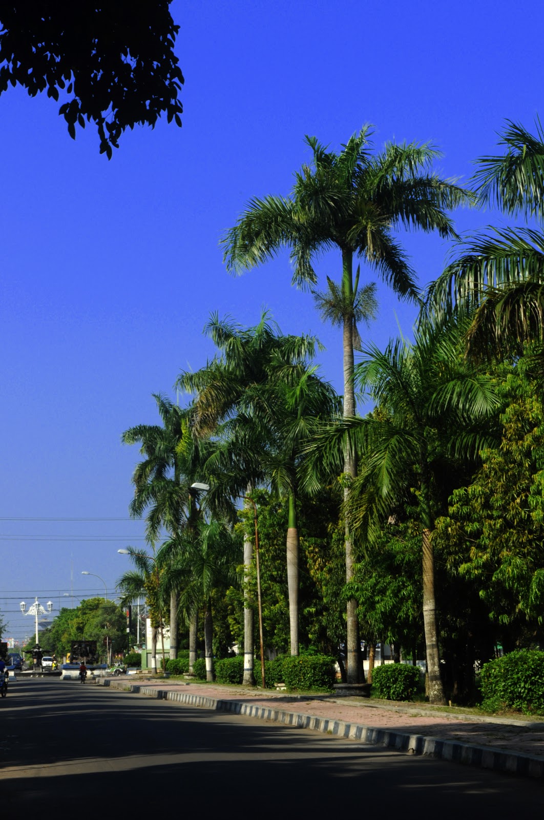 Keker Enterprise: Foto Ngawi dalam Bingkai Fotographer
