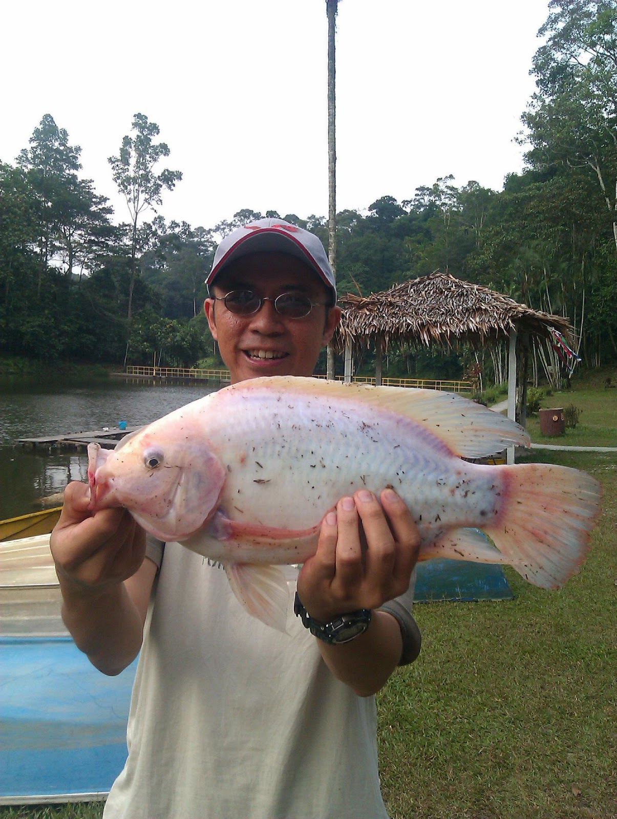 The Fish Hut Tilapia Fishing Part 1