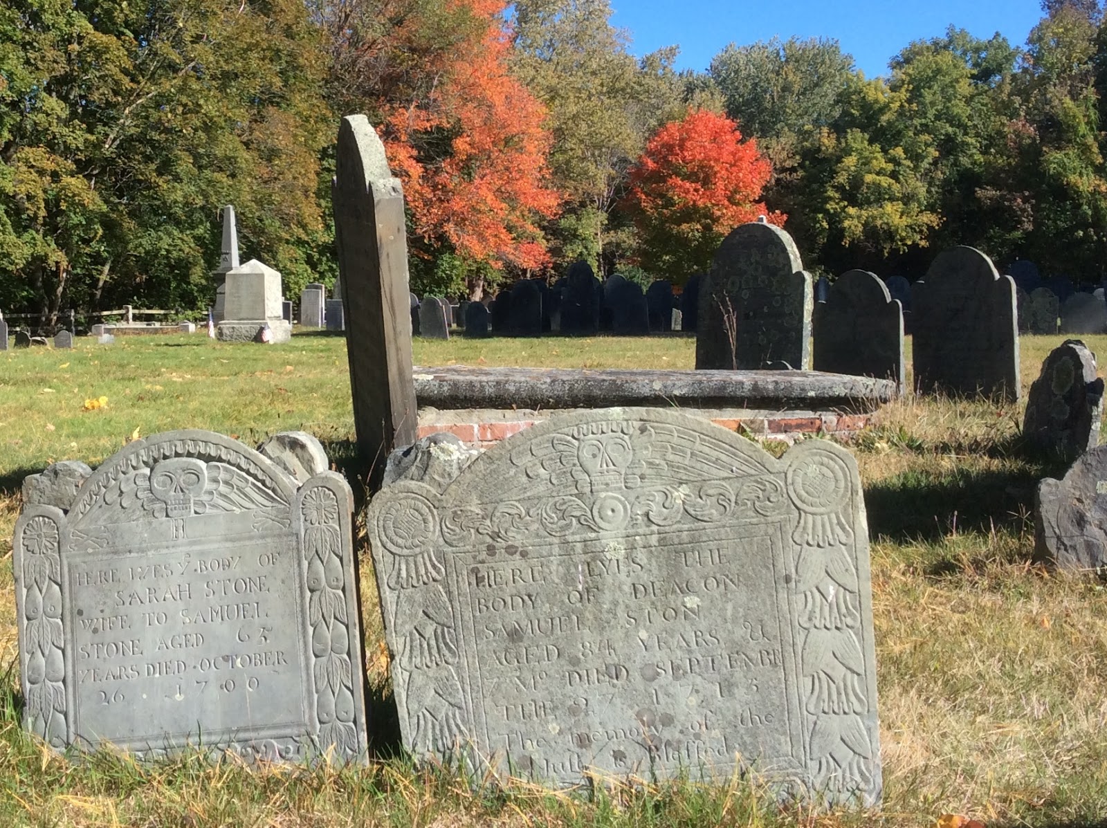 Life From The Roots How to Find a Tombstone in the Old Cemetery in