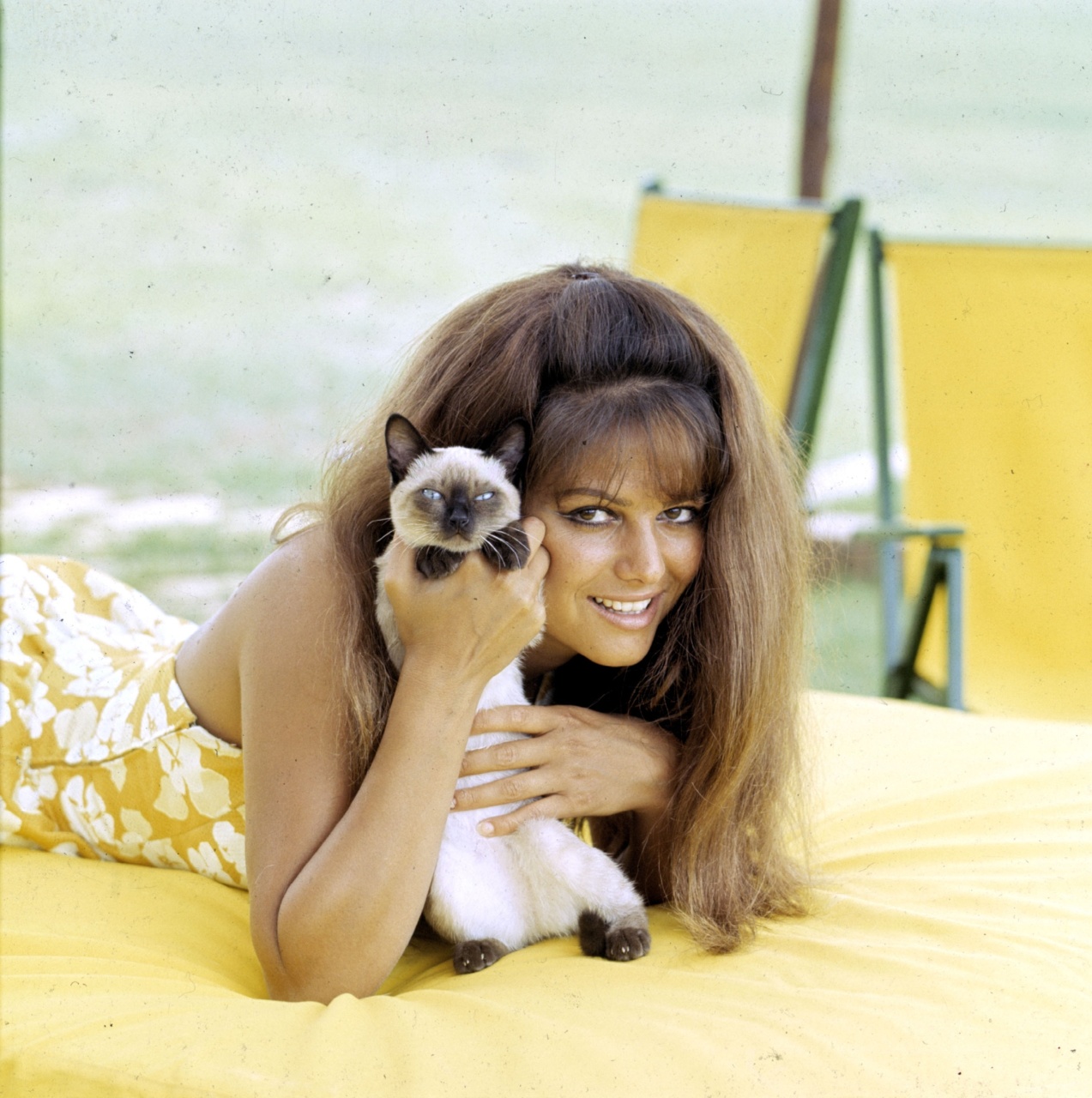 http://2.bp.blogspot.com/-C77HugUXCVY/T-A7Bum_U9I/AAAAAAAAHV4/_5EpfHpTaas/s1600/Claudia+Cardinale+7.jpg