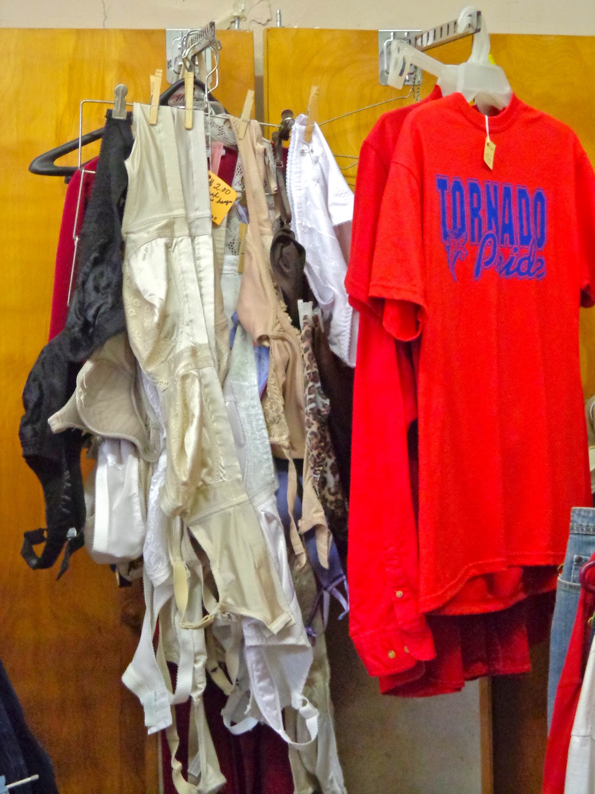 Pocketful of Ginch Used ThriftStore Underwear for the Discerning Woman