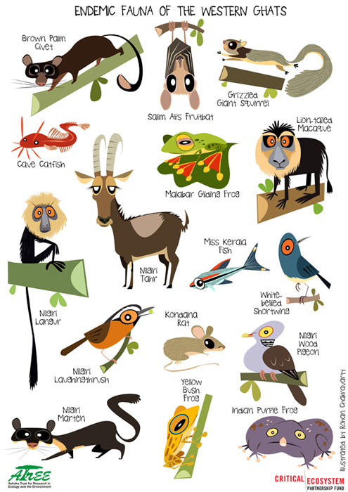 Green Humour: Endemics of the Western Ghats (ATREE-CEPF)