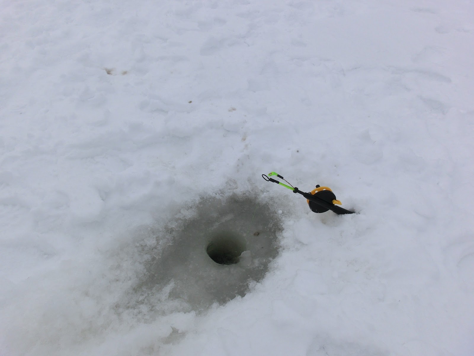 What the Finland: Laponia 3/6 pesca en el hielo, raquetas y granja de renos