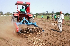 Governo quer investidores para agricultura comercial Governo quer investidores para agricultura comercial
