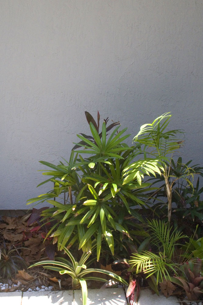 This Old House Singapore 2018 Gardens By The Bay