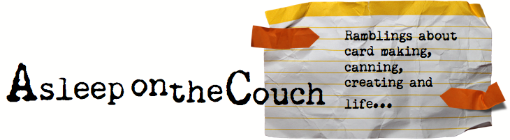 Asleep on the Couch Design