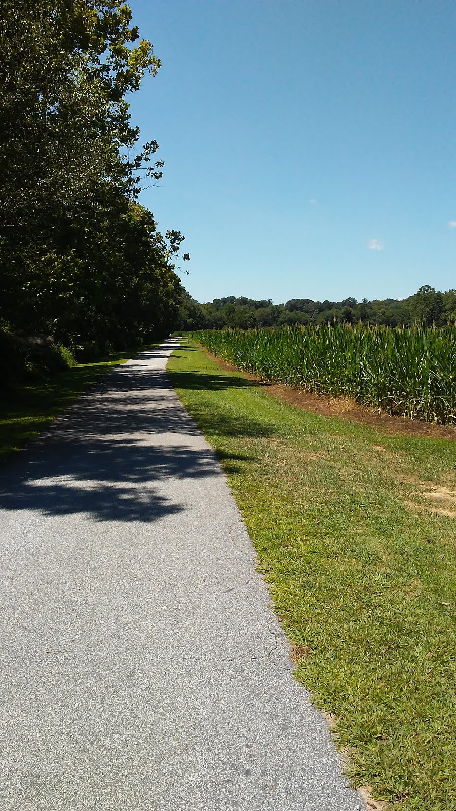 Catch of the Day Eclipse Option Lenoir, Hickory and NC