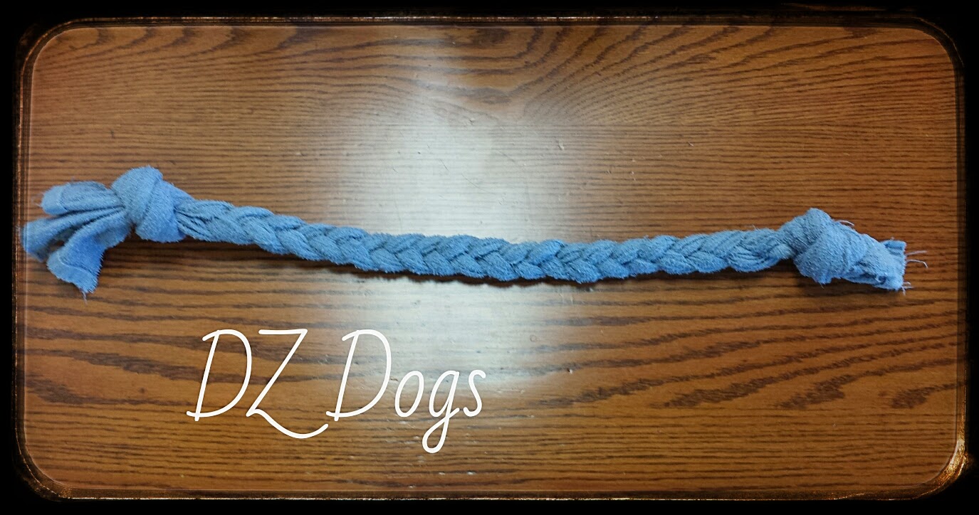 DZ's Adventures DIY Dog Tug Toy