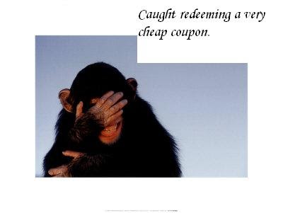 Why Groupon is correct in rebranding Sosasta