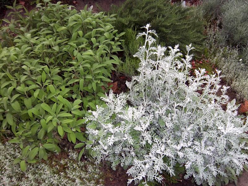 chat libera ragazzi e ragazze innamorati