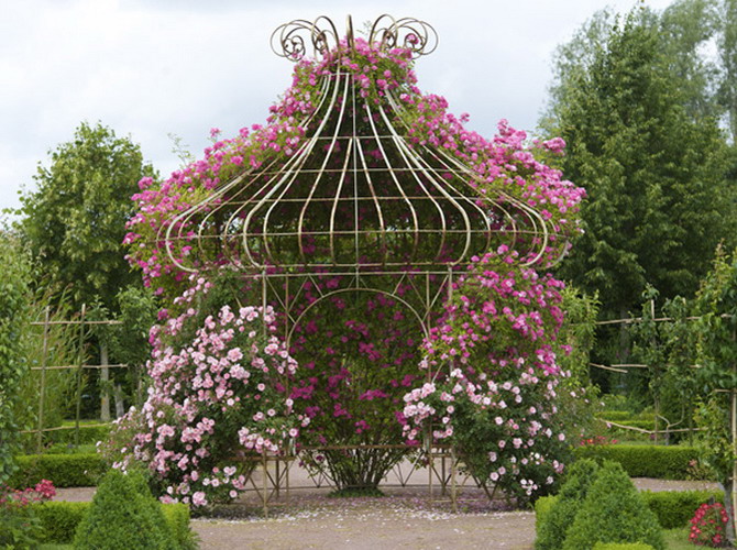flores de jardim rosas:Depósito Santa Mariah: Jardim De Rosas, Faça Um!
flores de jardim rosas:Depósito Santa Mariah: Jardim De Rosas, Faça Um!