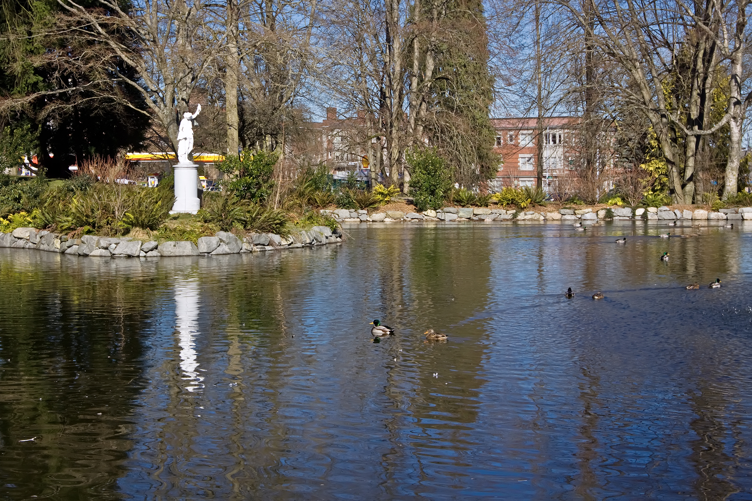 Loving Washington State Wright Park, WA