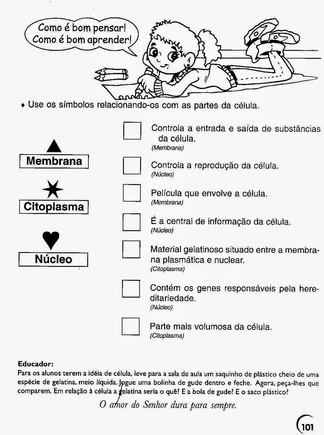 TEIA DA VIDA - CONHECER PARA PRESERVAR!: CITOLOGIA (CÉLULAS E TECIDOS