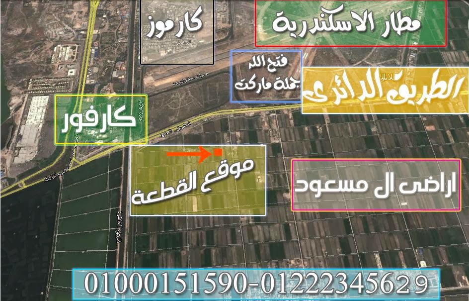 ارض للبيع فى الاسكندرية 500 متر على الطريق الدائرى شركة ال مسعود Land+for+sale.in+Alexandria+500+meters+on+the+Ring+Road+Company+Massoud