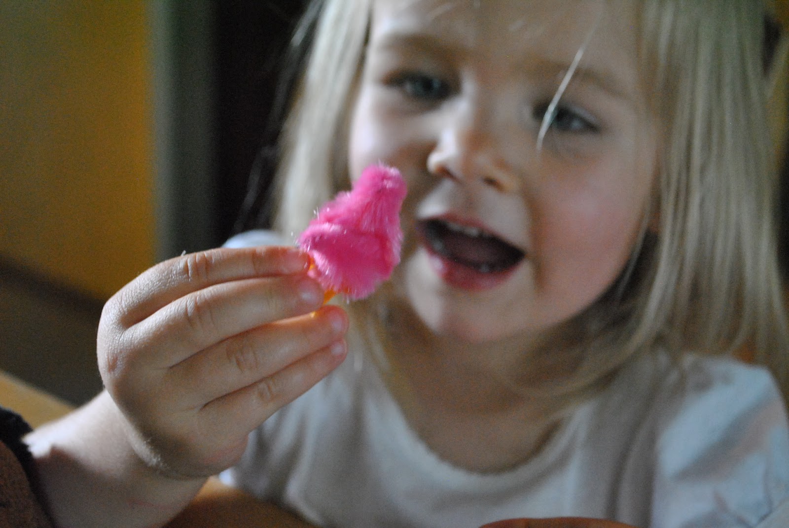 The Iowa Farmer's Wife BuildYourOwn Nest Activity
