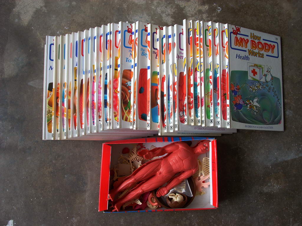 all must go books children how my body works body works book