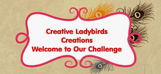 creative ladybirds creations