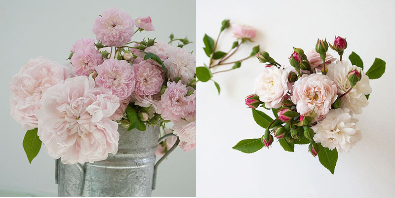 un declogo fcil sencillo y muy creativo de como crear tus propios ramos de flores silvestres puedes usar flores compradas del jardn o del campo - Ramos De Flores Silvestres un declogo fcil sencillo y muy creativo de como crear tus propios ramos de flores silvestres puedes usar flores compradas del jardn o del campo - Ramos De Flores Silvestres