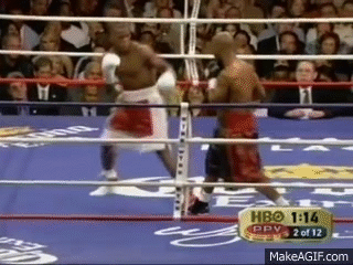 Mayweather-hit-by-right-hook-Judah.gif