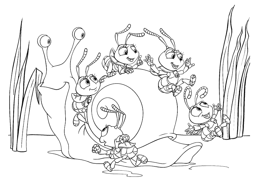 Coloring pictures | photo