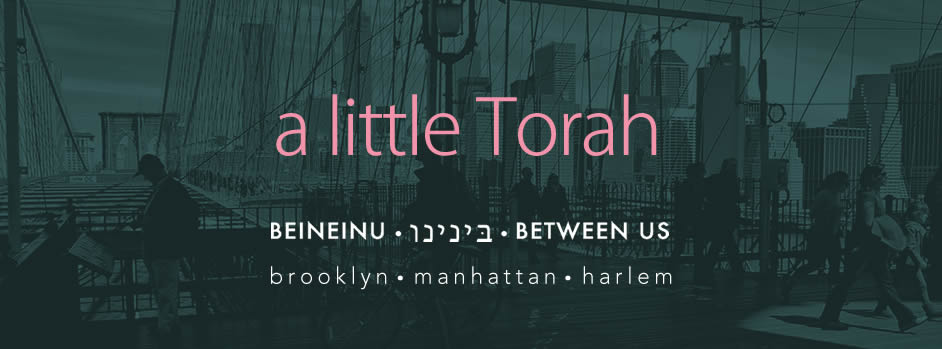 Torah & Shabbat & Mitzvah & Fundraiser