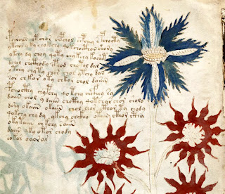 ΤΟ ΑΙΝΙΓΜΑΤΙΚΟ ΧΕΙΡΟΓΡΑΦΟ VOYNICH 12 16v