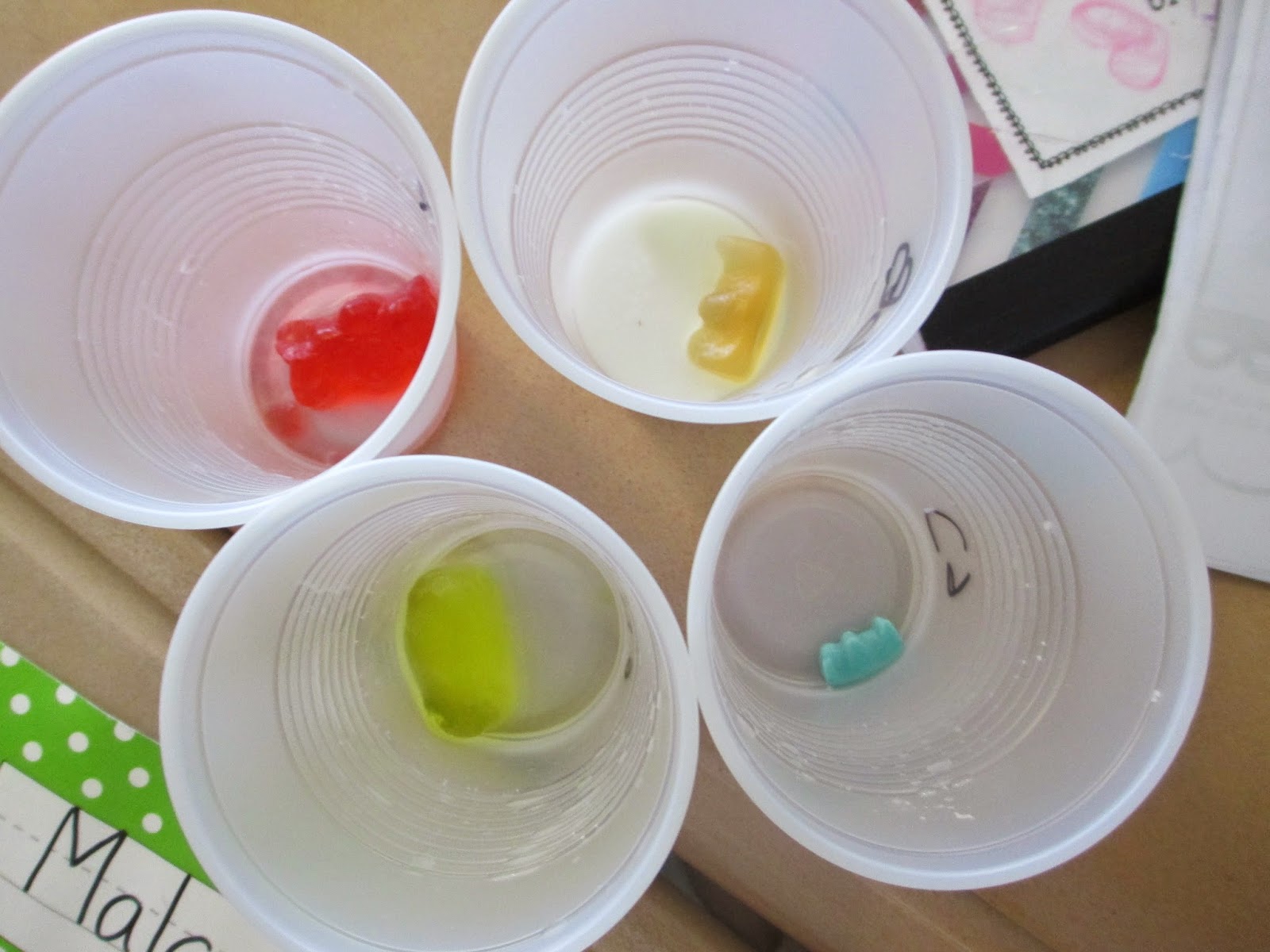 Fabulous in Fifth! Scientific Saturday Gummy Bear Lab