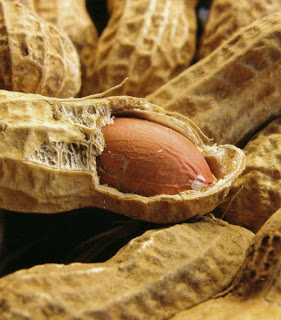 Nutritional Benefits Of Raw Peanuts