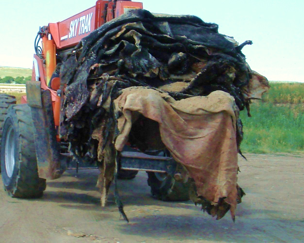 which raw hides were recalled which raw hides were recalled