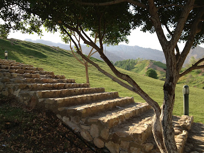 The Green Mubazzarah stairs to fountain