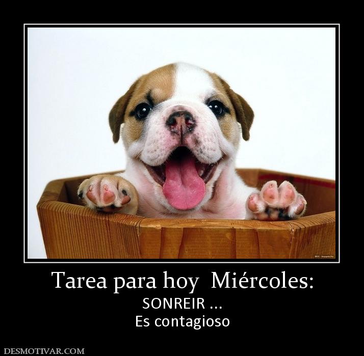 Image result for mensajes para hoy miercoles