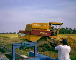 FOTO SEKITAR PERTANIAN