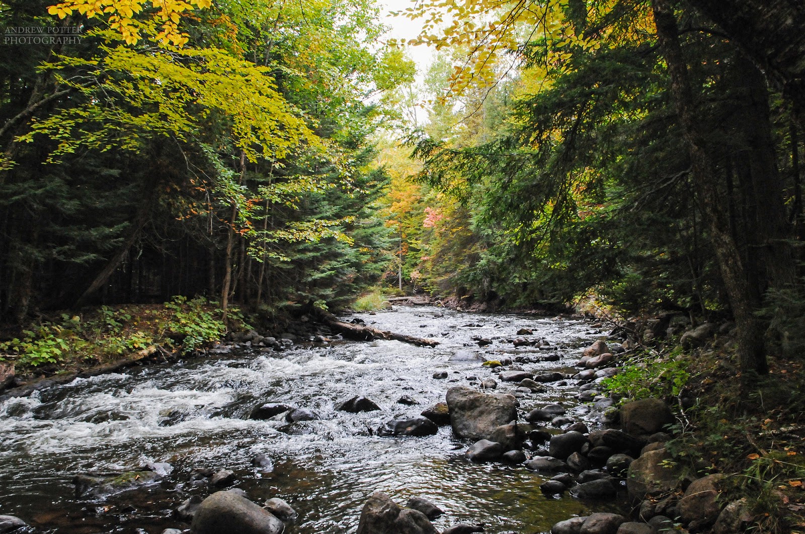 Andrew Potter Photo Blog Fly Fishing Carp River Marquette