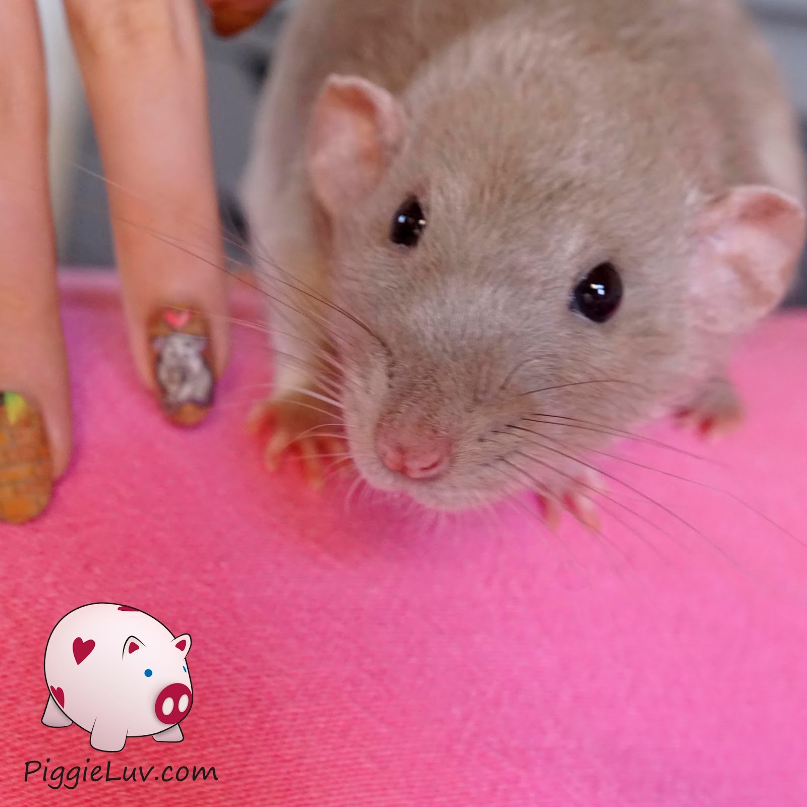 PiggieLuv Streetrat Aramis nail art