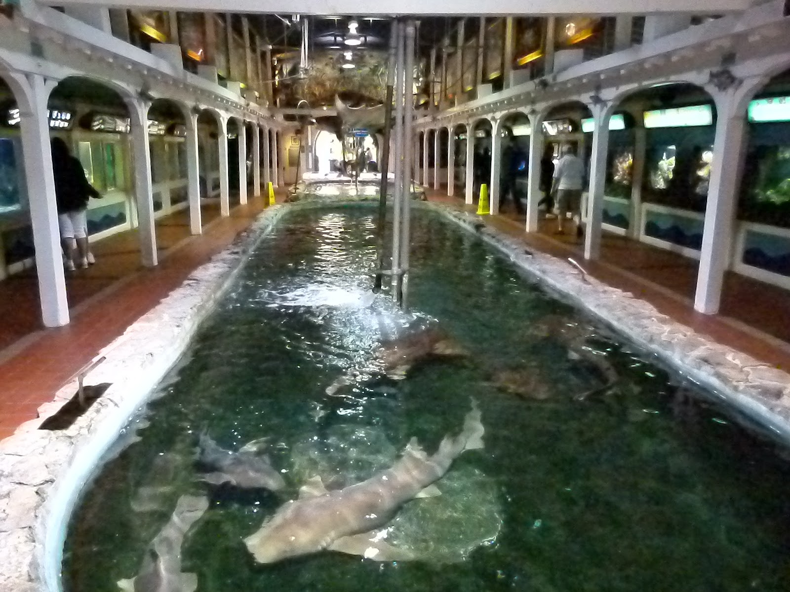 Key West vacation and visit guide Key West aquarium