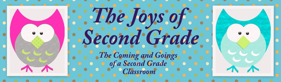 The Joys of Second Grade