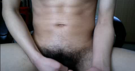 plan cu hard bite de 21 cm plan cu hard bite de 21 cm