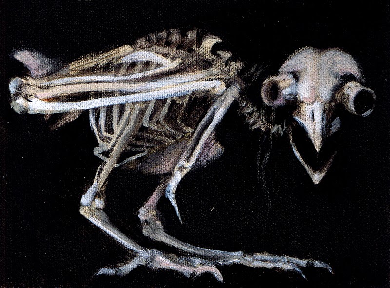 Laura Jade Owl Skeleton...