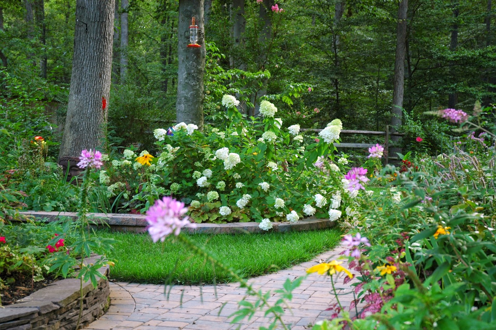 Roses Du Jardin Cheneland
