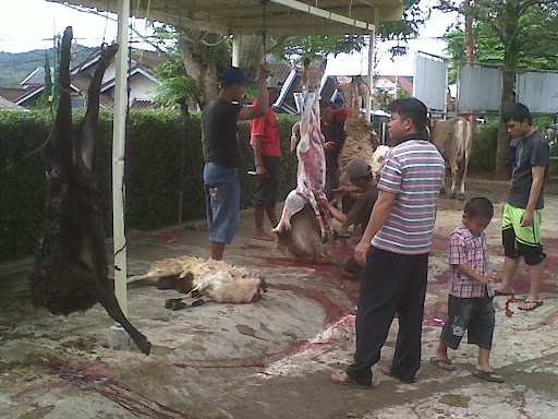 Qurban Yamsik - Happy Eid Al-Adha 1432 H