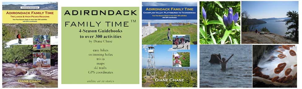 Adirondack Family Timeā¢: Four-Season of Activities