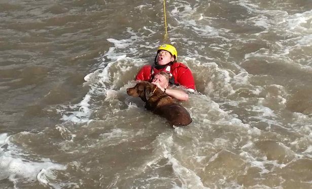 Dog Rescues Merseyside Dog Rescues Merseyside