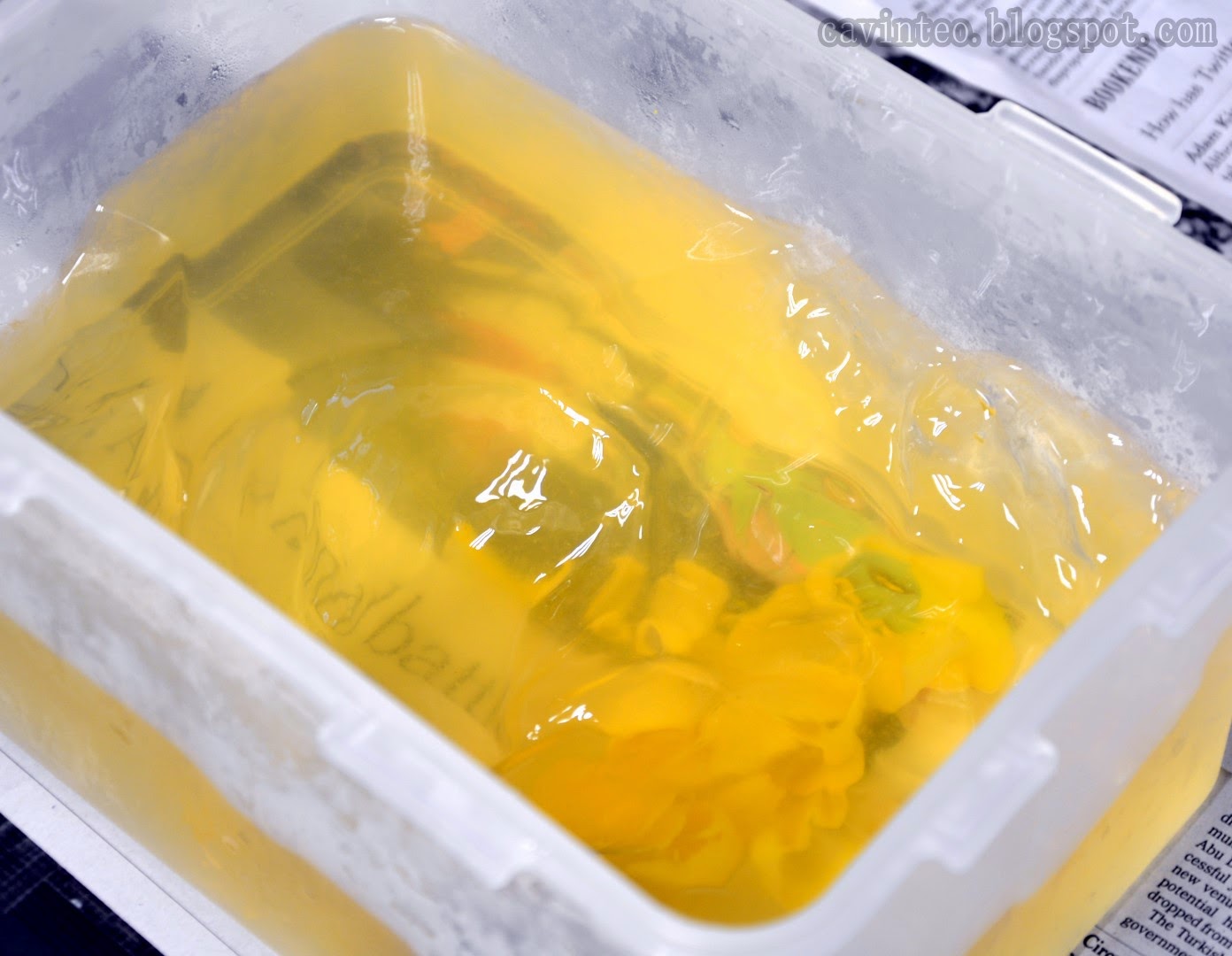 Entree Kibbles Coral Seaweed Jelly 100 Vegetarian 'Sea Bird's Nest