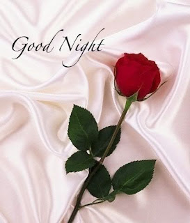 Good night wishes for lover Good night wishes for lover