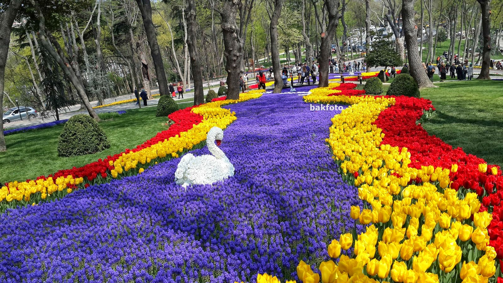 2014 Tulip Festival in Istanbul at Emirgan Park!!