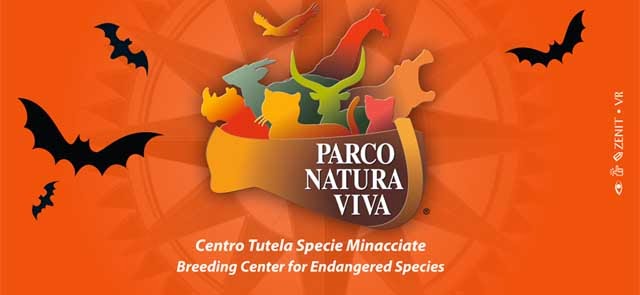 Lago Di Garda Veneto 2013