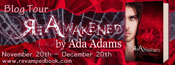 reawakened series reawakened series